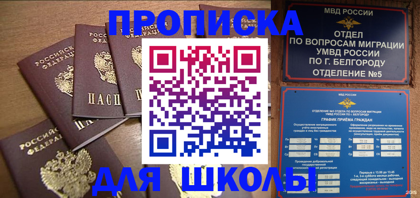 прописка гарантия в Ржеве